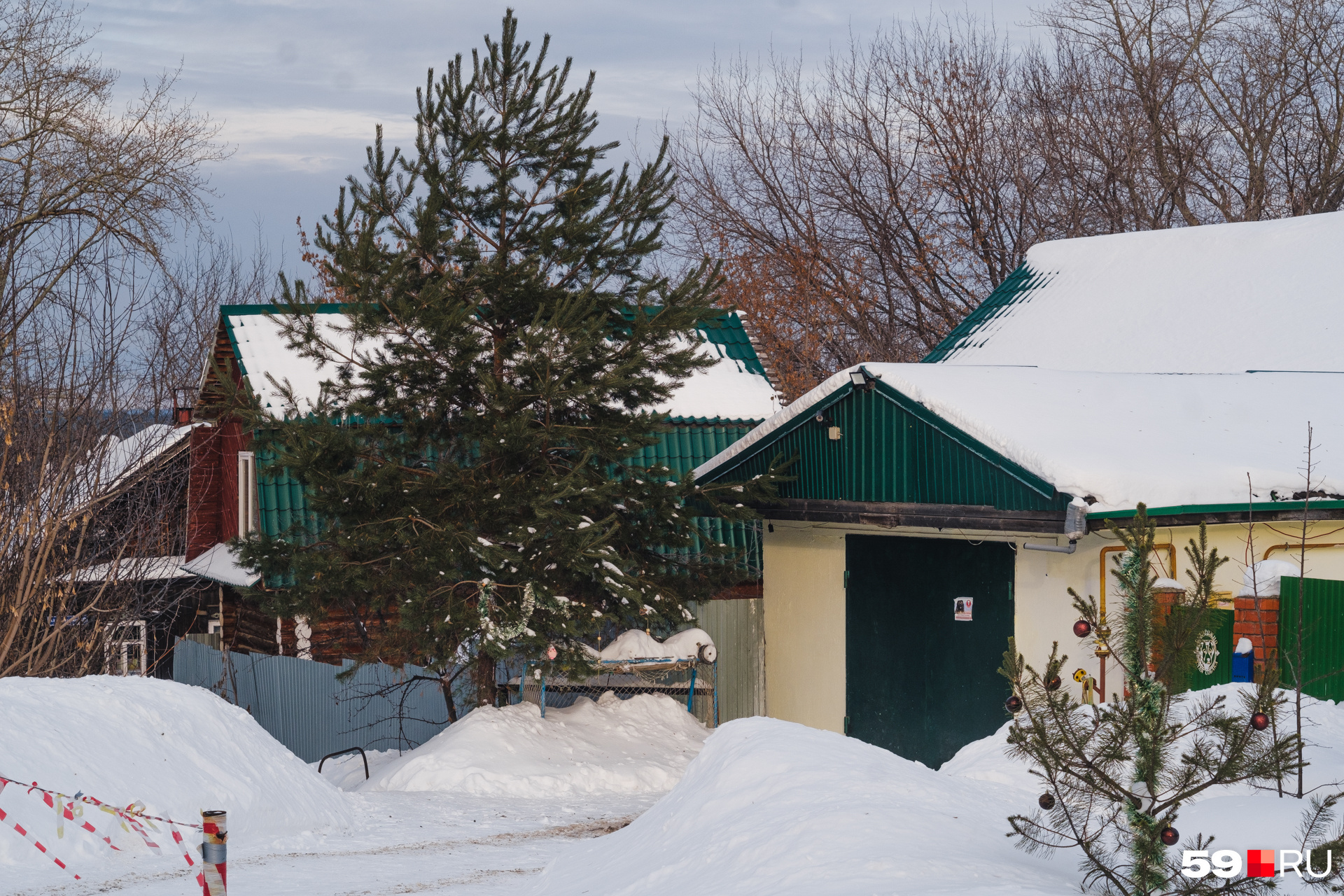 Ливанский кедр в сочи. Самая дорогая елка. Елка на телецентре уфа. Норильск открытие центральной елки 2022. Новогодняя хайфа.