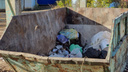Очевидцы: «В Самаре на помойку выбросили избирательные урны»