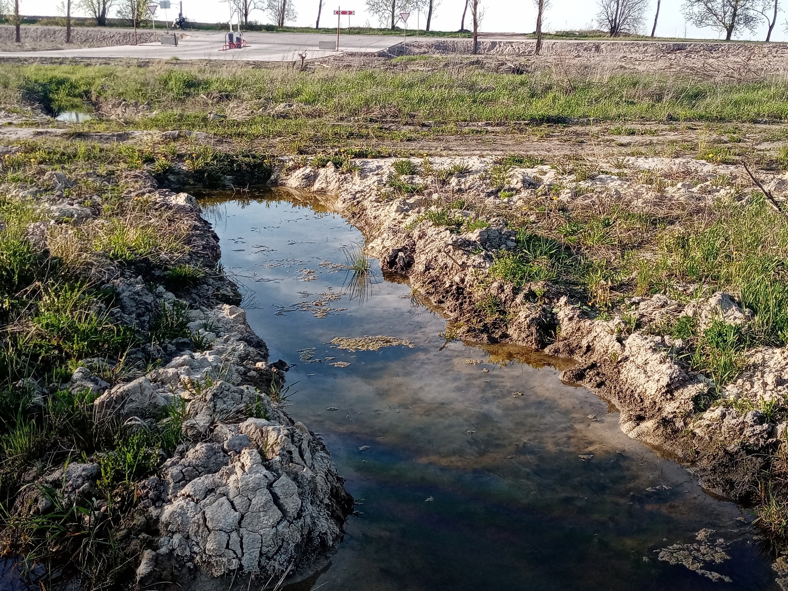 В Пушкине и Петро-Славянке обнаружили незаконные сбросы в воду - 31 мая  2024 - ФОНТАНКА.ру