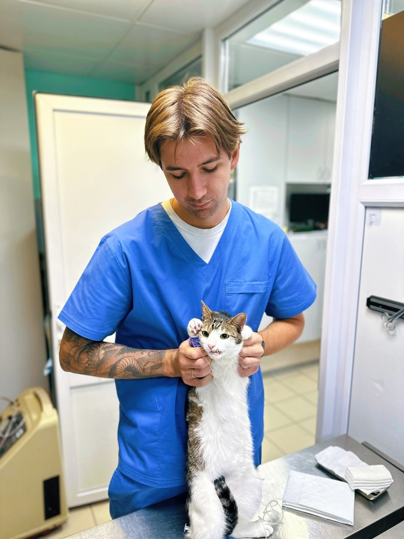 Котик на приеме спустя год. Не узнать! Котик на приеме спустя год. Не узнать!