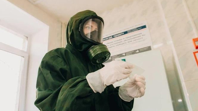 В одном из регионов России ввели карантин из-за мальтийской лихорадки. Болезнь разрушает внутренние органы
