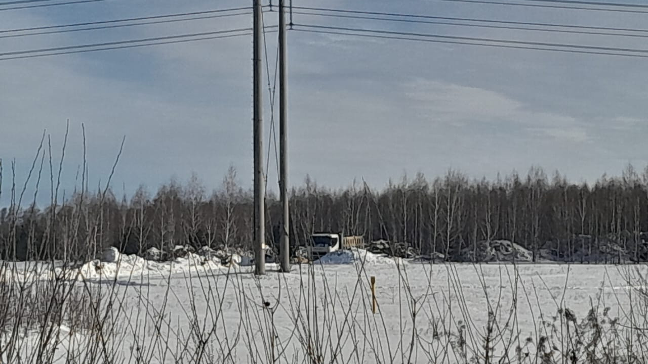 «Возят не первый день»: жители пригорода Челябинска обнаружили незаконную свалку снега в лесу