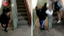 «Я была на работе, дома — <nobr class="_">13-летний</nobr> ребенок»: неизвестные устроили погром в подъезде на Линейном жилмассиве — видео
