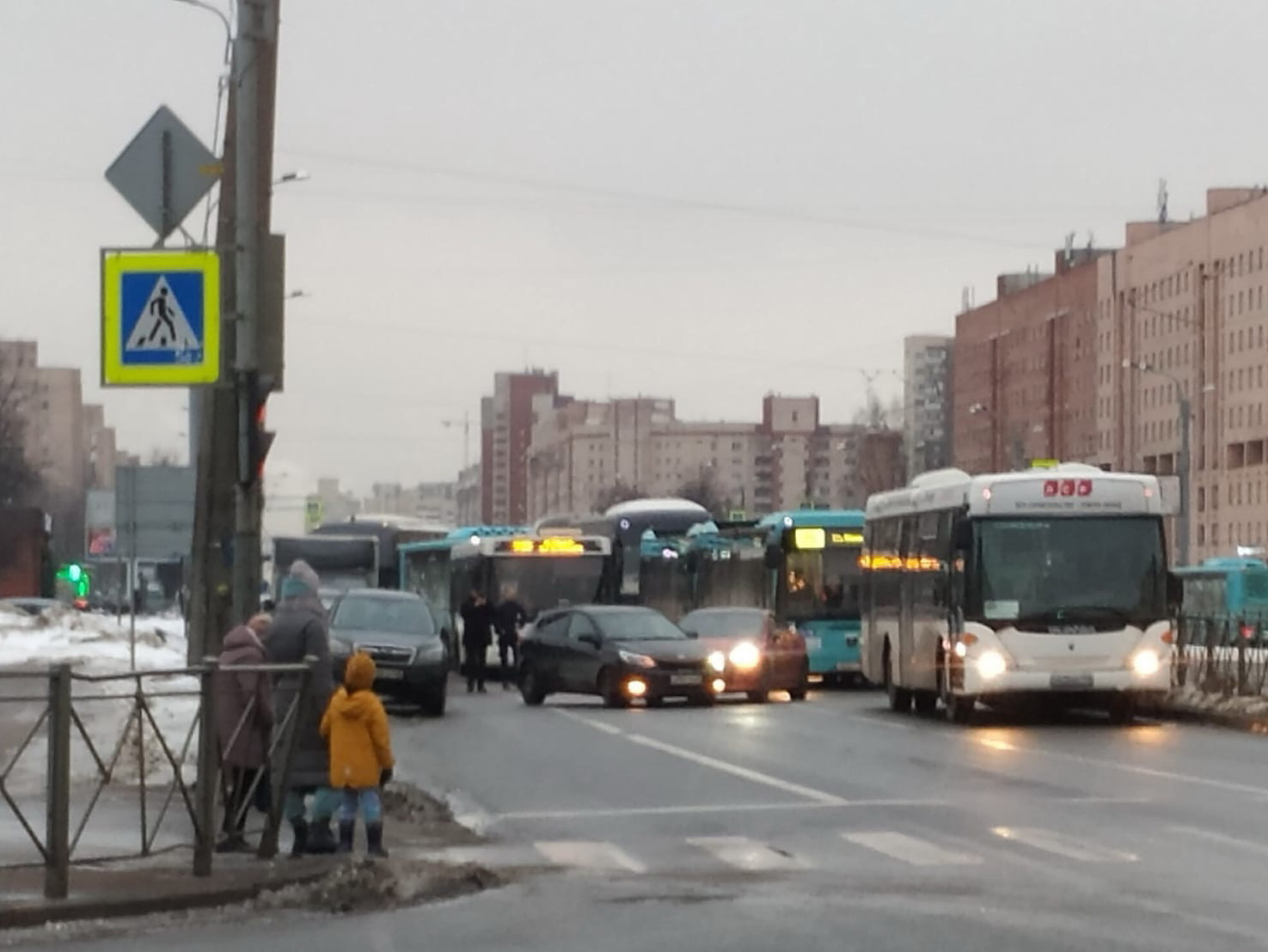 ДТП на проспекте Просвещения остановило автобусы
