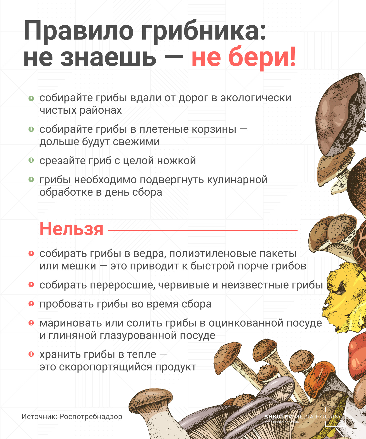 Маша Лукашкина: Грибы-грибочки: Веселые строчки: Стихи, частушки, дразнилки