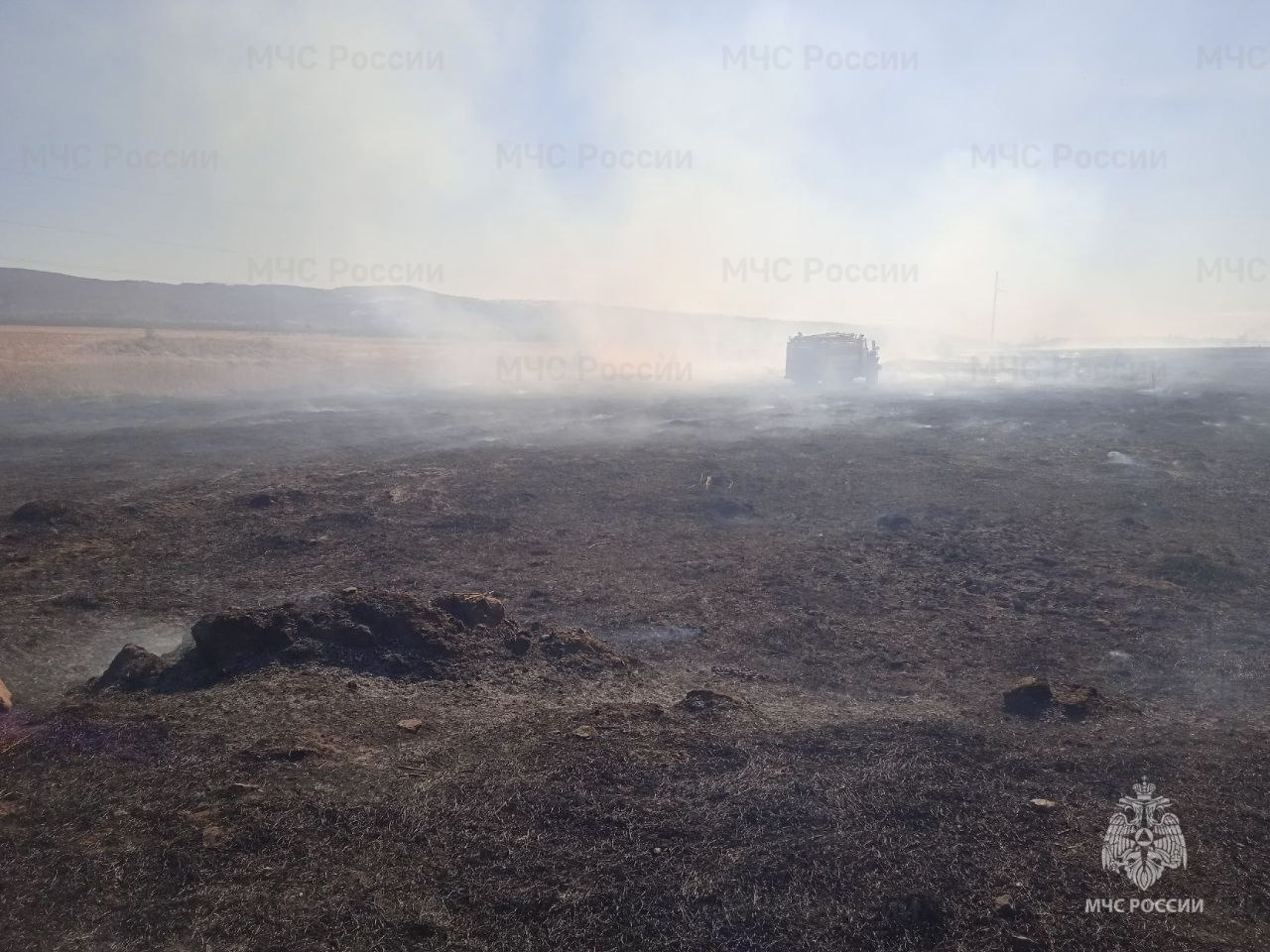 Житель Забайкалья устроил пожар на 50 гектаров, потому что хотел чая