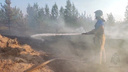 Адское пламя «съело» <nobr class="_">36 гектаров</nobr> леса у Жигулевского моря: видео
