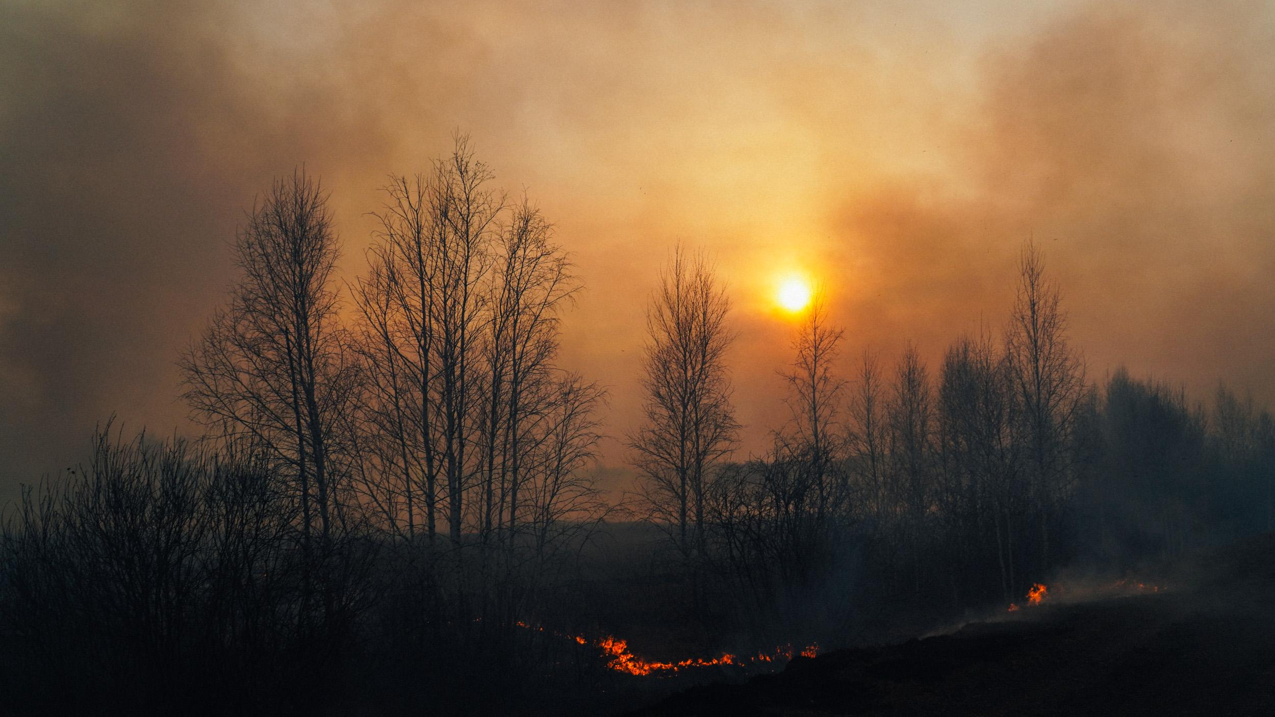 На смену потопам придут пожары: каким регионам приготовиться