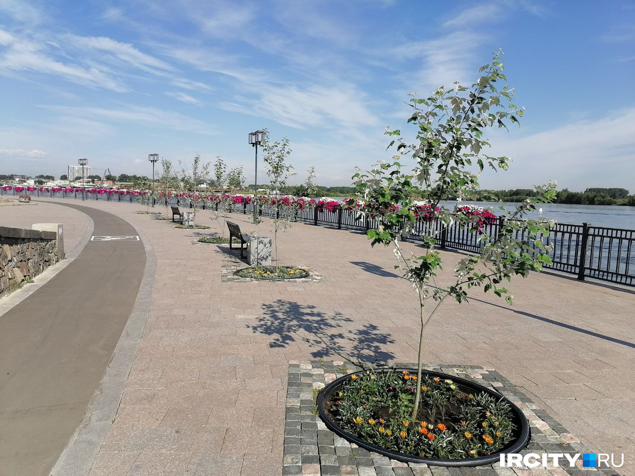 Клумбы у саженцев в районе спуска от Вечного огня. Кстати, тут тополя прижились лучше всего, и так могла бы выглядеть сейчас вся набережная Клумбы у саженцев в районе спуска от Вечного огня. Кстати, тут тополя прижились лучше всего, и так могла бы выглядеть сейчас вся набережная