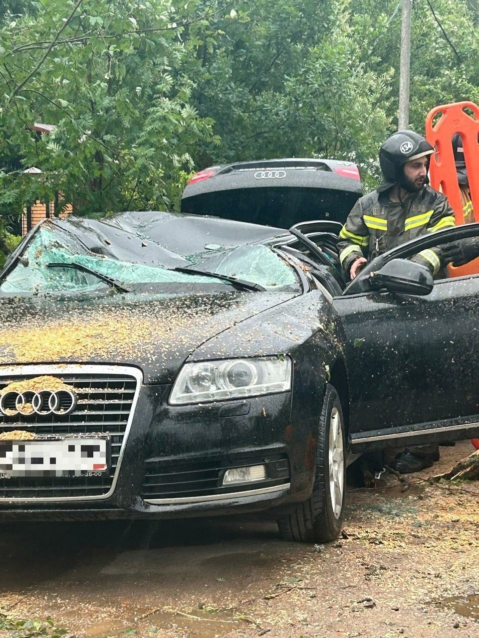 Дерево упало на автомобиль «Ауди» в деревне Волковицы в Ломоносовском  районе Ленобласти во время шторма, пострадали женщины, фото и видео - 8  июля 2024 - ФОНТАНКА.ру