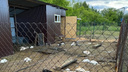 «Страшно представить, кто следующий»: стая бродячих псов загрызла животных в магнитогорском мини-зоопарке