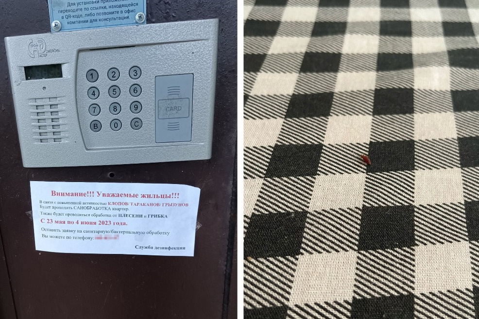 После того как на двери повесили объявление, в доме появились клопы После того как на двери повесили объявление, в доме появились клопы