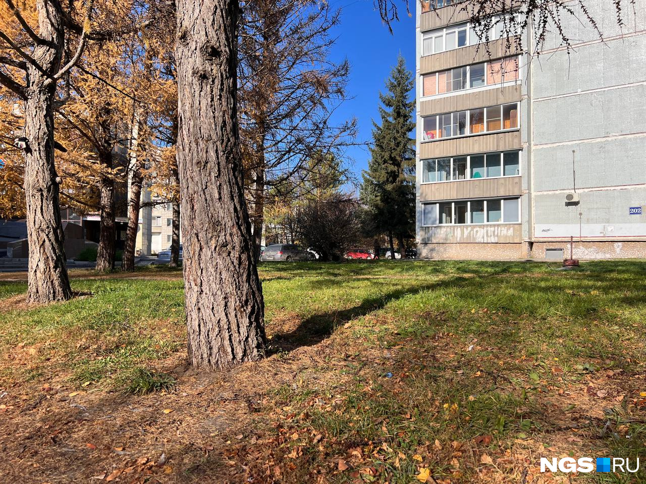 Поселок напоминает один большой парк с домами Поселок напоминает один большой парк с домами