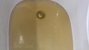 «Даже посуду стремно мыть»: челябинцы массово пожаловались на коричневую воду из-под крана