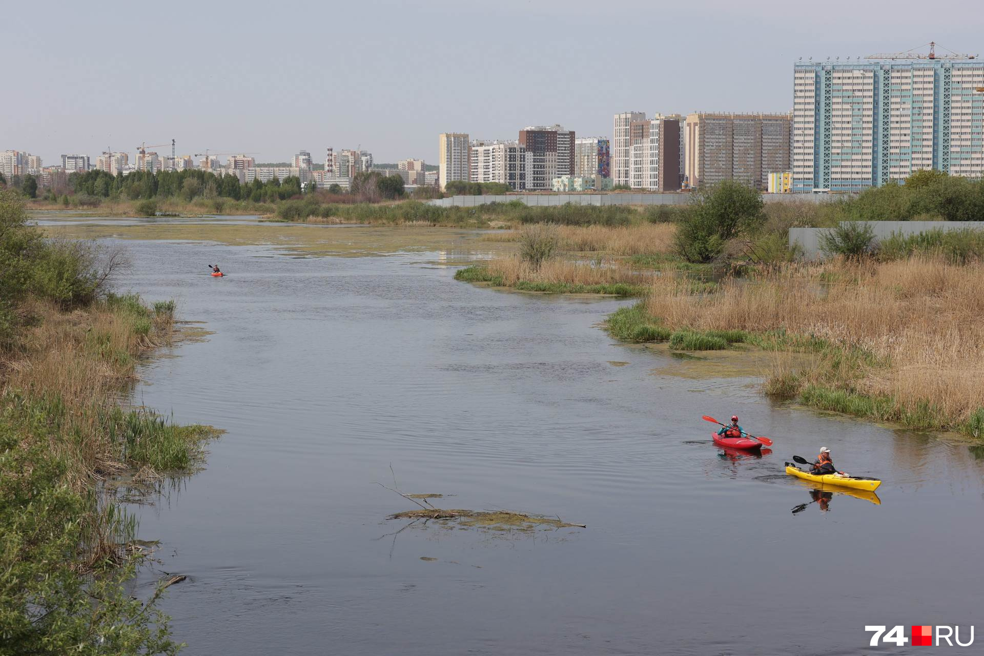 Пруд Коммунар. К сожалению, стоячая вода летом сильно зацветет, подернется зеленой пеной и запахнет лягушками Пруд Коммунар. К сожалению, стоячая вода летом сильно зацветет, подернется зеленой пеной и запахнет лягушками