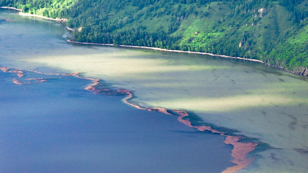 Бирюзовые воды разбавили золотом — публикуем десять чарующих снимков Телецкого озера