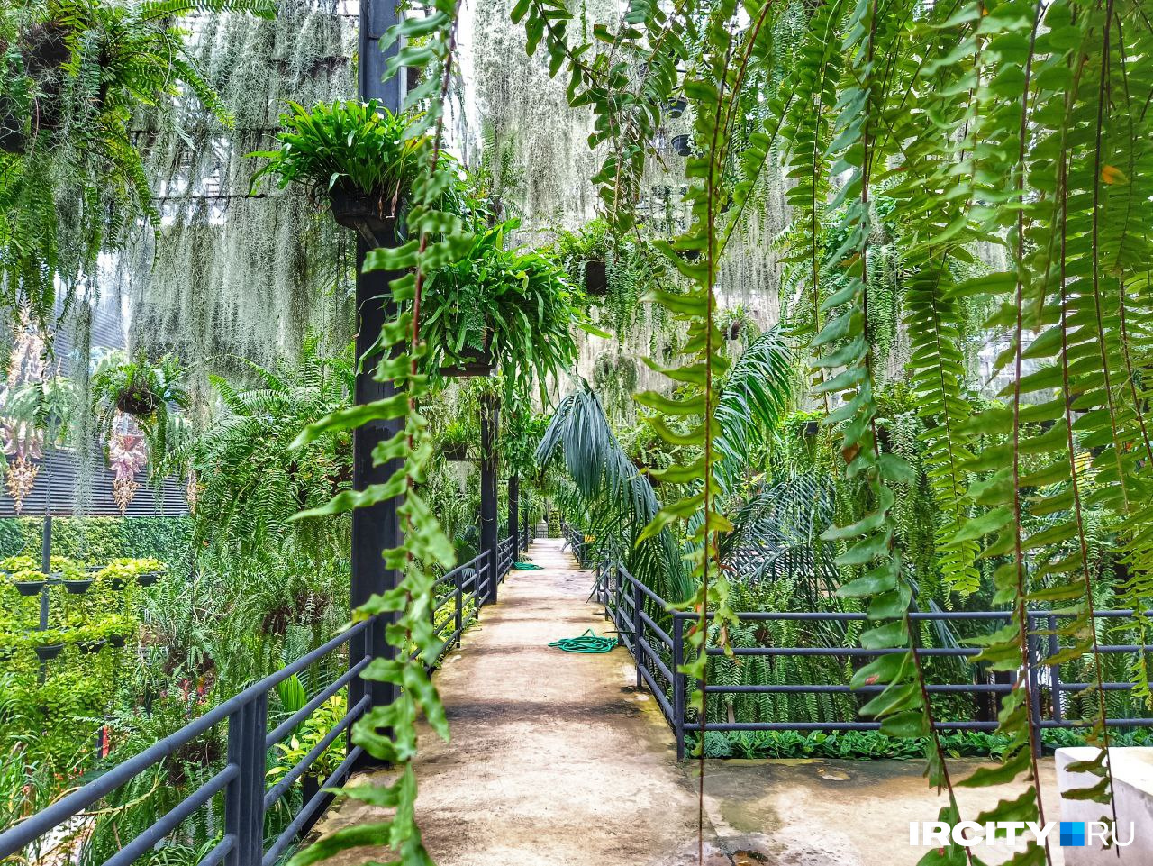 Всю флору Таиланда (или почти всю) можно посмотреть в тропическом саду мадам Нонг Нуч