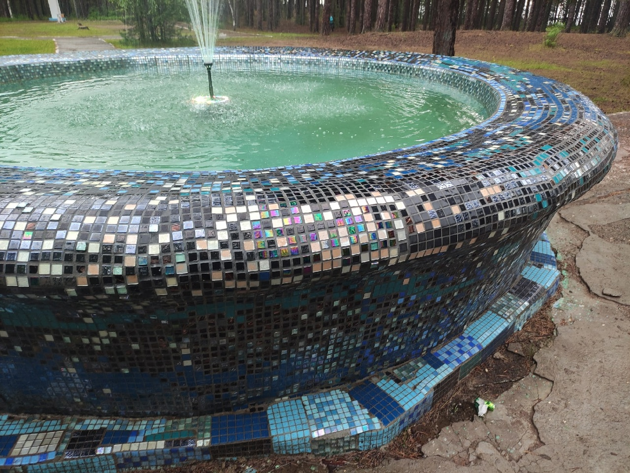 Также девушка занимается и реставрацией. В 2021 году она отреставрировала мозаичный фонтан в детском лагере «Гагаринец» в поселке Новоильинском