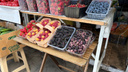 Шелковица и черешня по 500. Сколько стоят фрукты и ягоды на Сенном рынке в Краснодаре?