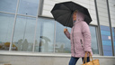 Новая рабочая неделя в Архангельской области начнется с дождей