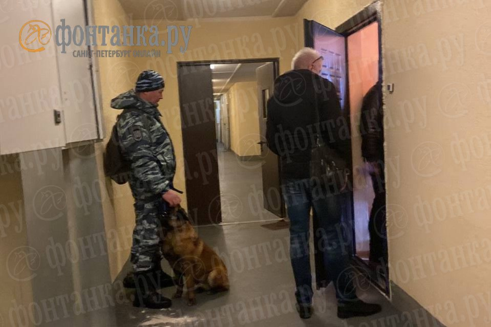 Квартиру, где задержали Дарью Трепову, обыскивают с собаками на наличие взрывчатых веществ