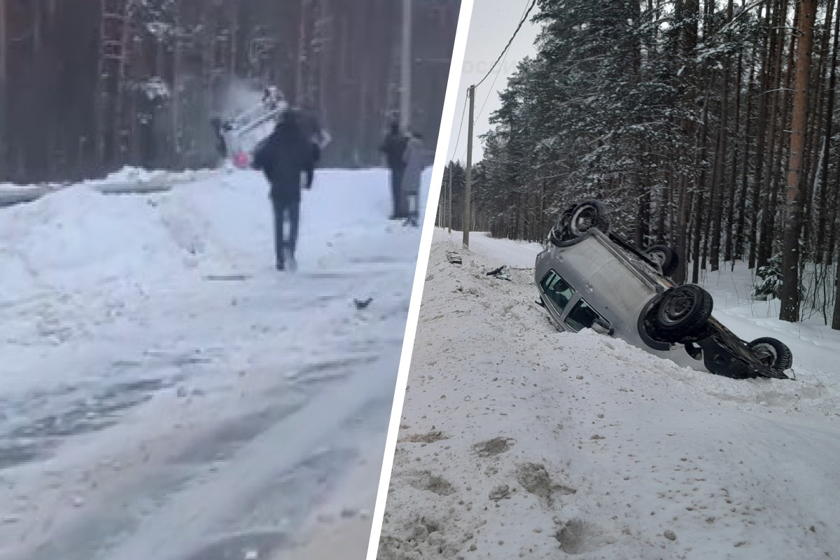 северный парк томск улица марины цветаевой 9/1. томак марины цветаевой 22 томск. северная 11 13. макаренко 11 северодвинск. улица маяковского дом 1 переславль залесский.