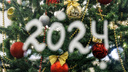 В Волгограде отменена встреча Нового года в ЦПКиО
