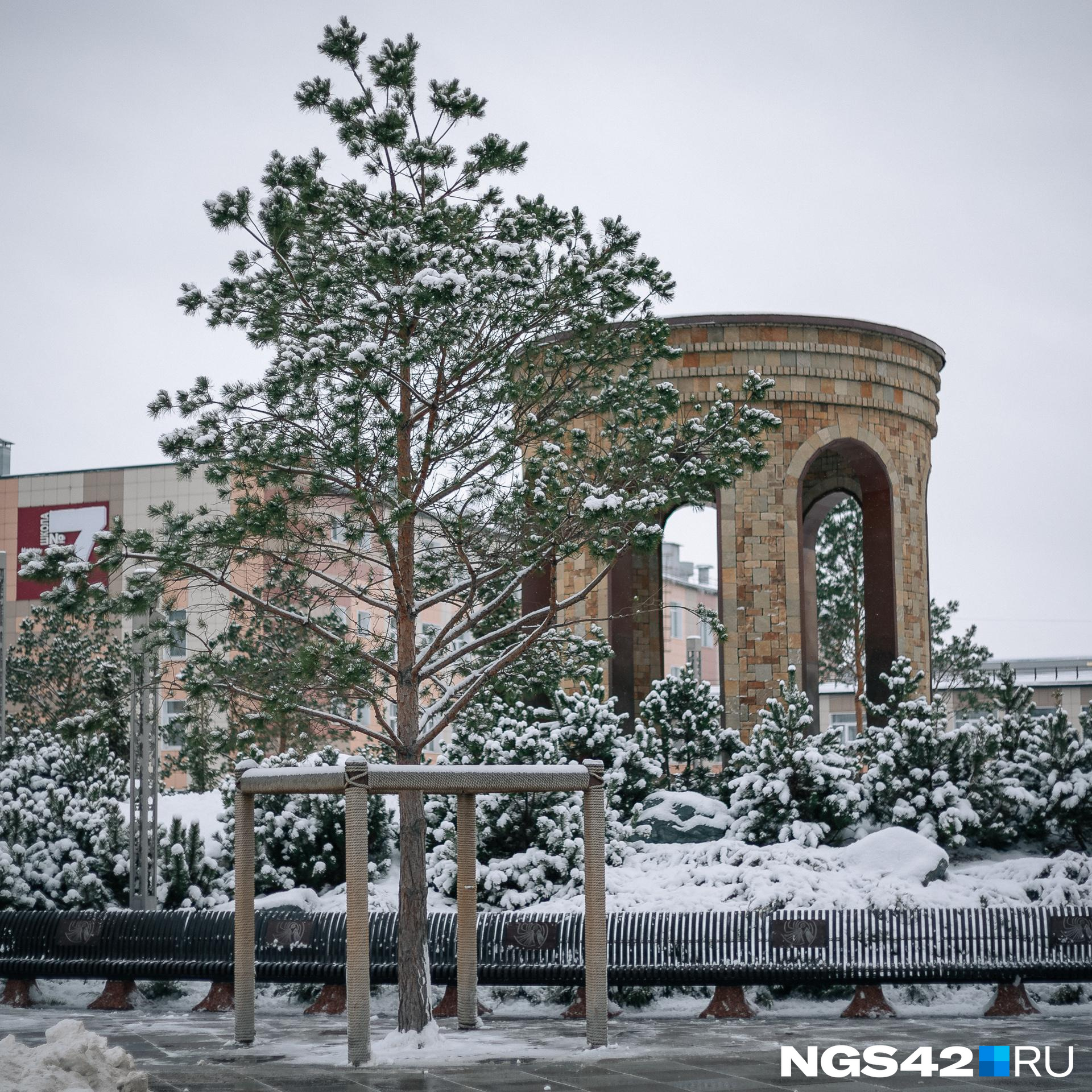 «Парк Ангелов» открыли в 2019 году в память о погибших в пожаре в ТЦ «Зимняя вишня»