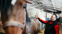 Мастер конского маникюра: сибиряк годами ловко подковывает беговых лошадей — как это делается, и почему им не больно