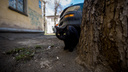 Черный кот Люцифер поранил депутата горсовета Новосибирска Светлану Каверзину
