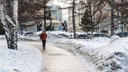 «Хорошая спокойная погода»: в Новосибирске похолодает до -12 градусов — прогноз на ближайшие дни