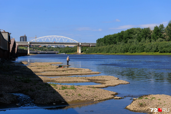 Твику в тюмени фото