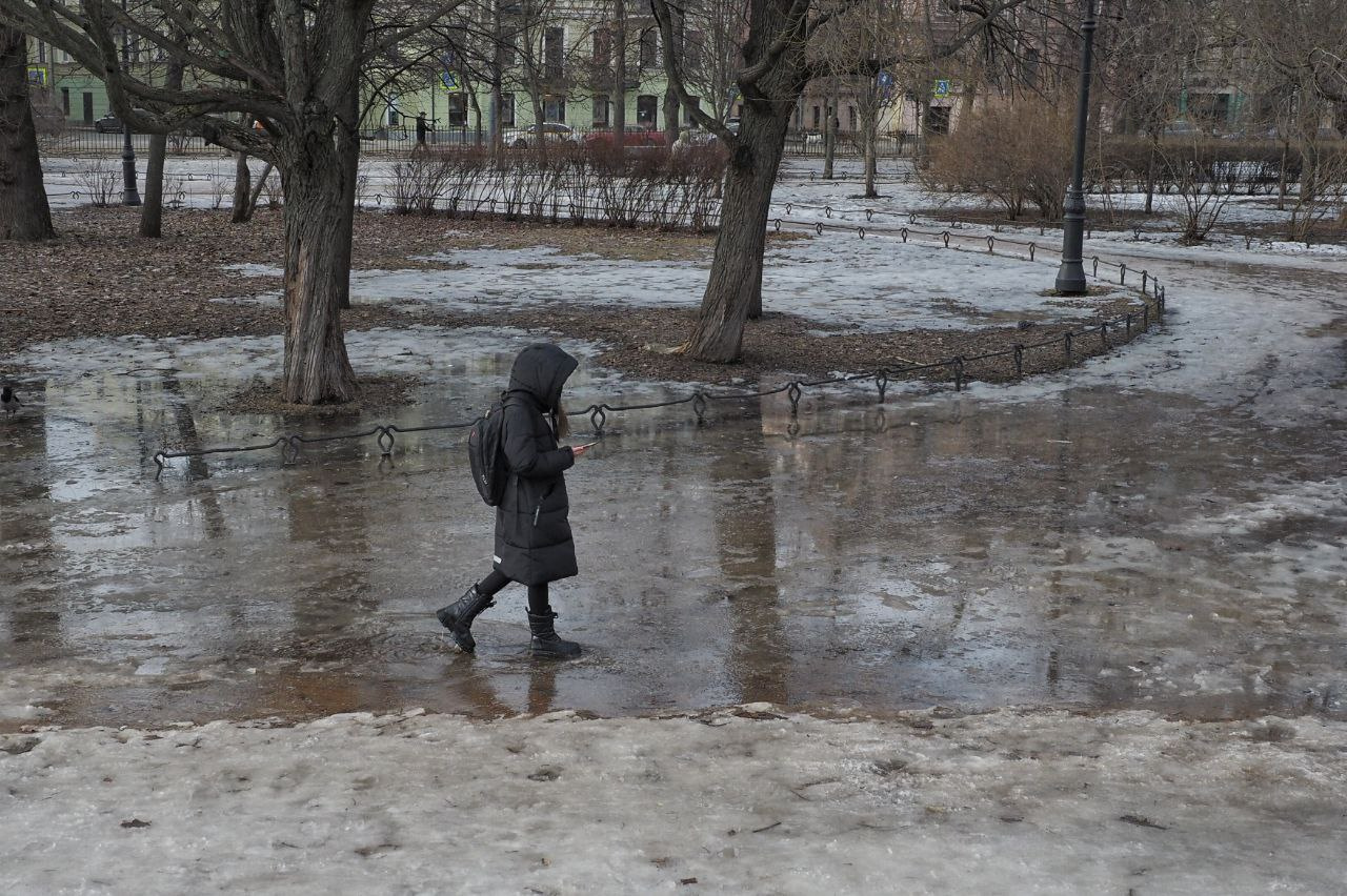 Другая весна пришла в Петербург. «Флорентина» устраивает жару | 14.03.2024  | Санкт-Петербург - БезФормата