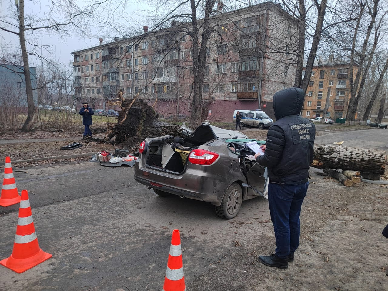 Гигантское дерево раздавило легковушку в Новокузнецке: погибли мужчина и женщина