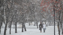 Надвигаются снегопады: в Новосибирск идет непогода — изучаем прогнозы на рабочую неделю