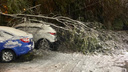 На юге Челябинской области дороги засыпало снегом и повалило деревья