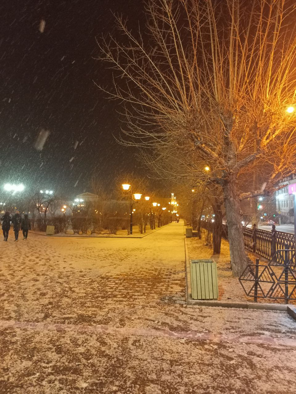 Снегопад вечером