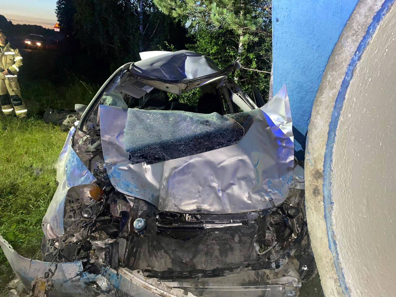 На трассе в Красноярском крае водитель врезался в лошадь и погиб, еще четверо пострадали