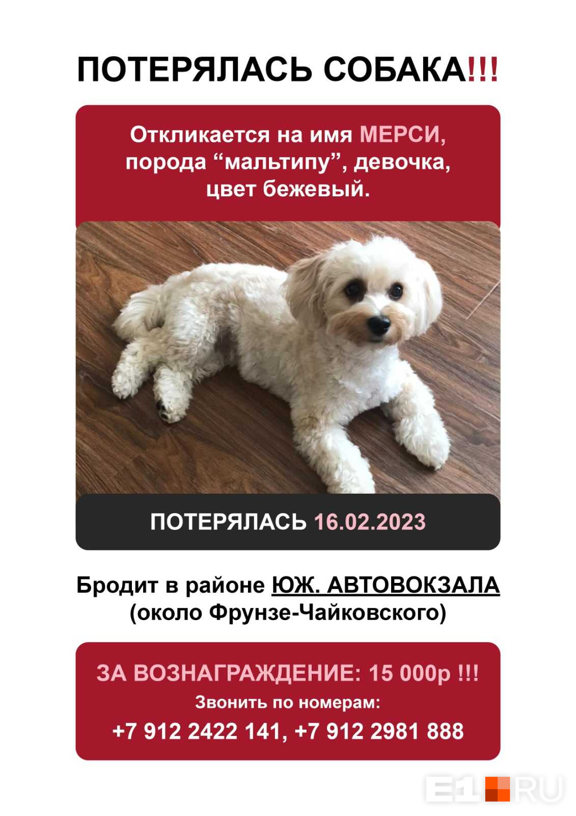 В Екатеринбурге собака не выдержала разлуки с хозяевами и сбежала. Ее ищут всем районом