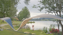 Парк с крыльями и здание на месте ЦУМа. Архитекторы показали проекты благоустройства Новосибирска — разглядываем концепции