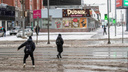 Затянувшееся тепло: синоптики объяснили, почему в ноябре в Новосибирске плюсовая температура и бесконечный дождь