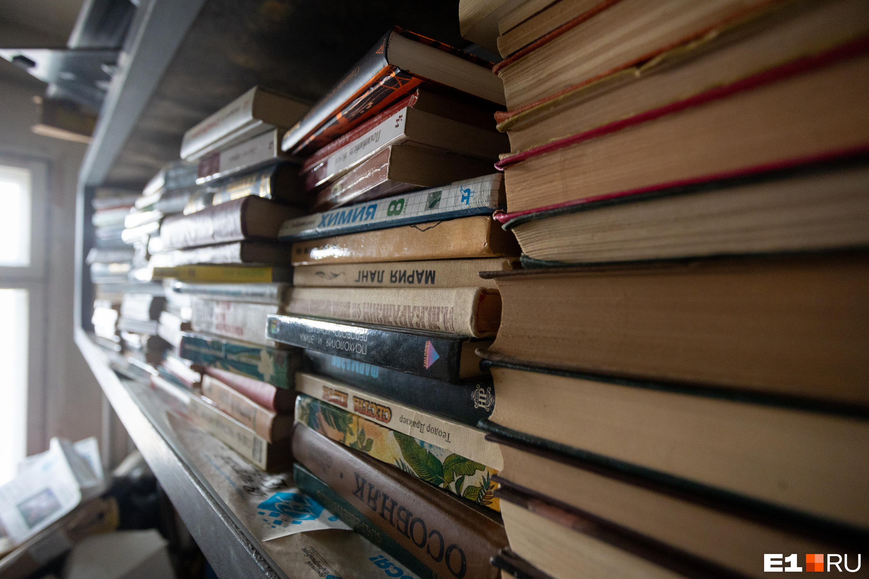 В приюте сейчас несколько сотен книг В приюте сейчас несколько сотен книг