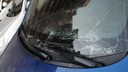 «На лобовом стекле шерсть»: собака упала на припаркованную машину во дворе на Есенина