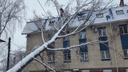 Гигантское дерево рухнуло на здание «Газпрома» в Самаре