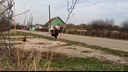 «Бросались с диким воплем друг на друга»: жесткую драку под Волгоградом сняли на видео