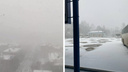 «Настоящая зима»: в Томске метель и очень сильный снегопад. Дойдет ли непогода до Новосибирска?