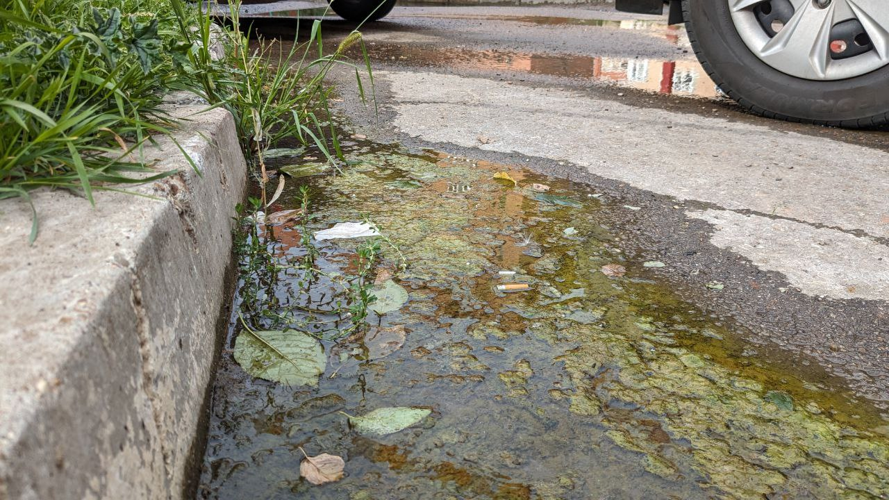 Уже мхом поросло: жители Уфы жалуются, что вытекающий из-под асфальта ручей во дворе стал болотом