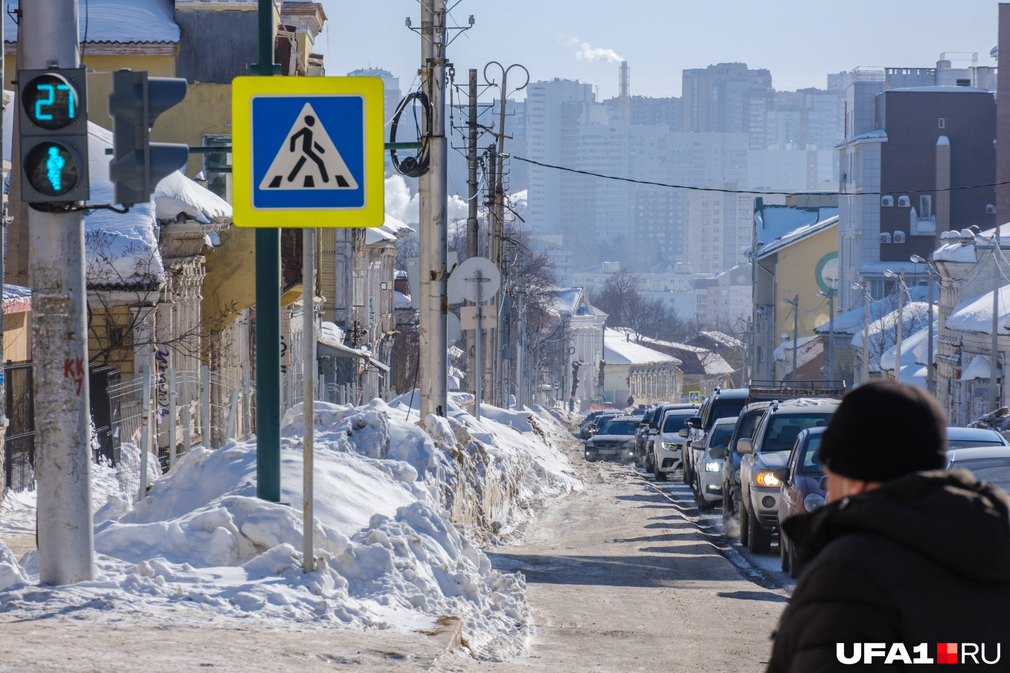 Власти обещают высадить сотни новых деревьев