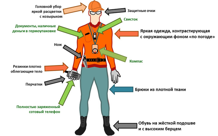 Компас поможет ориентироваться в лесу, а очки защитят от сучков и веток