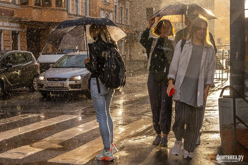 В прогноз погоды в Петербурге ворвались дождь и сильный ветер